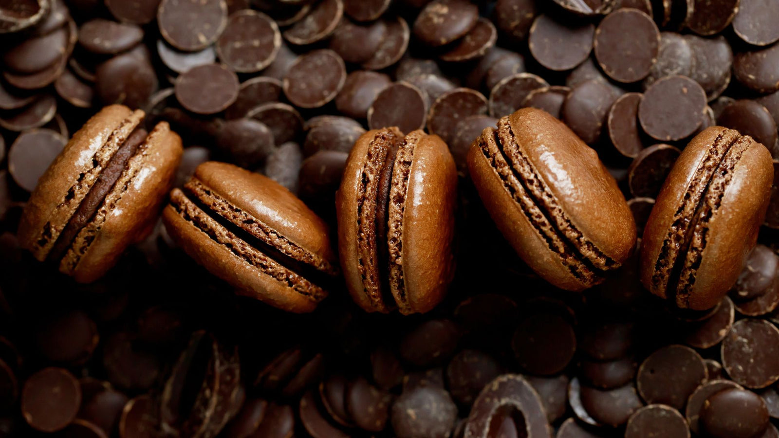 Chocolate Macaroons: How to Make Perfectly Crisp and Chewy Delights