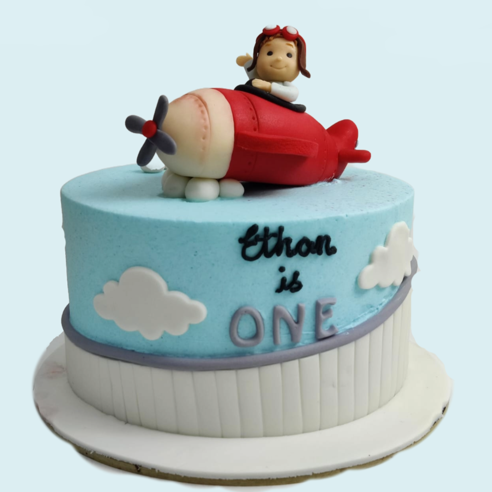 ERRP | Expired Registration Recovery Policy | Airplane cake, Planes cake, Birthday  cake kids