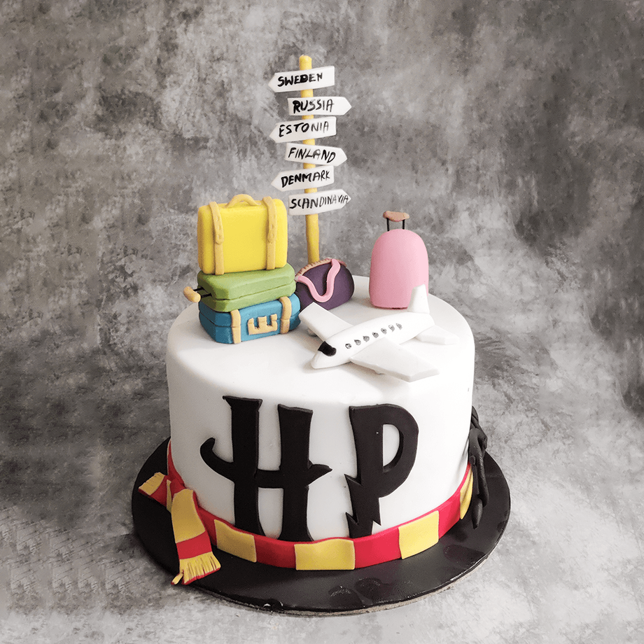 Coolest DIY Harry Potter Birthday Cake - A Labor of Love!