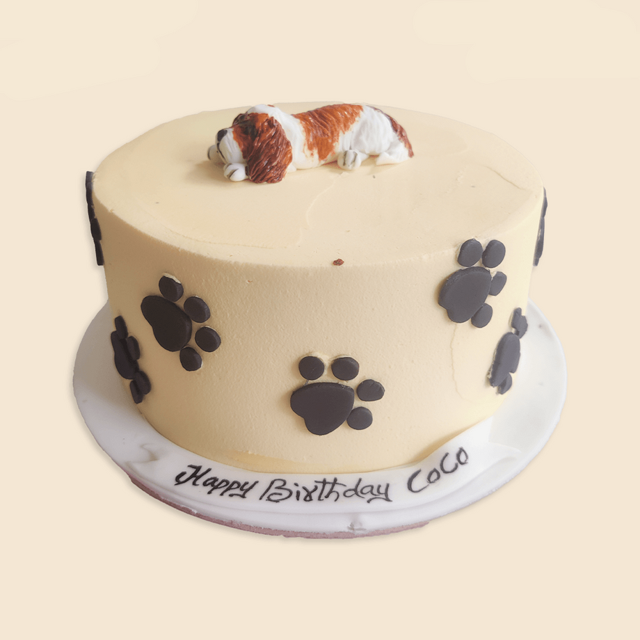 Small Bone Shaped Dog Birthday Cake – Redondo Dog