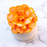 Peachy Peony Topper - Crave