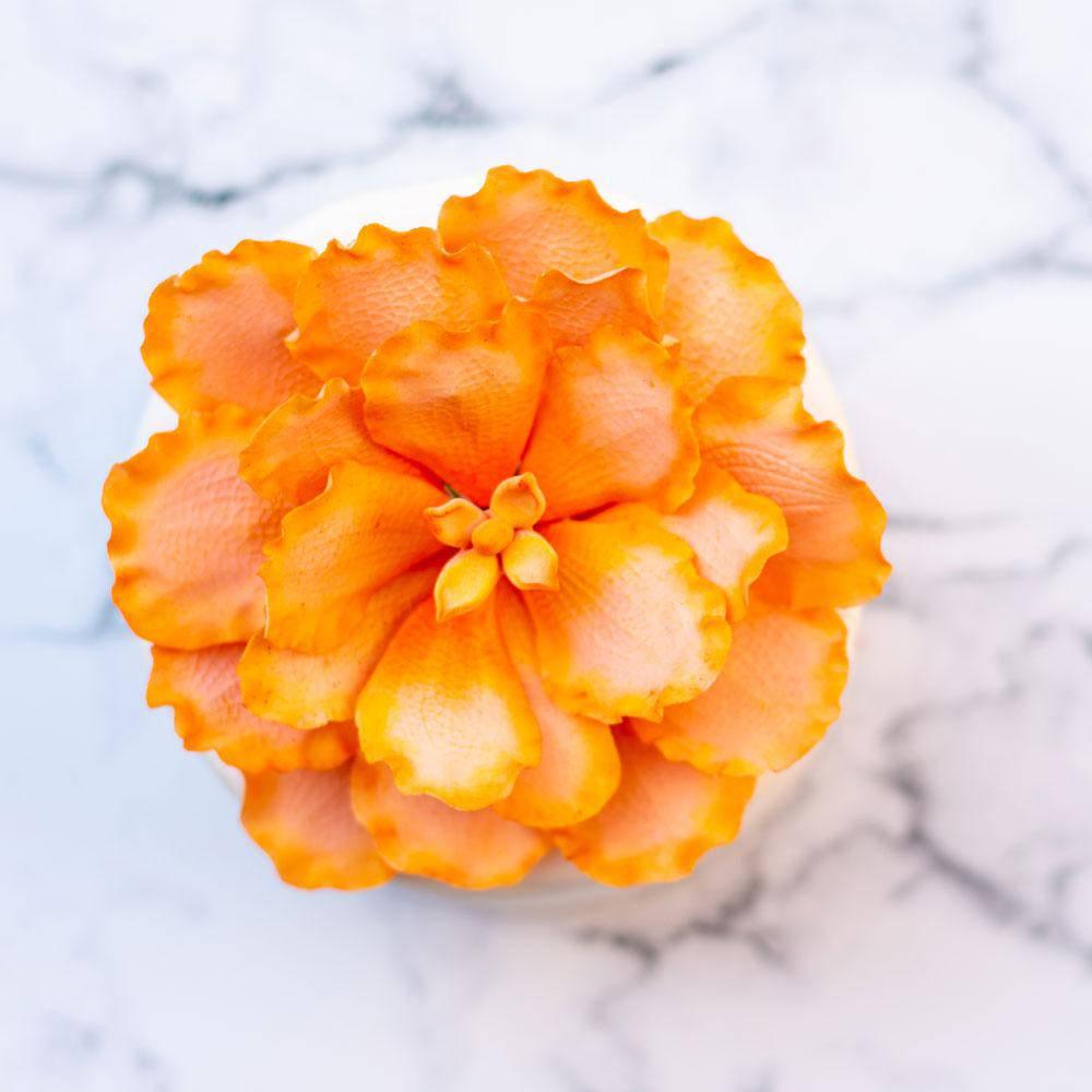 Peachy Peony Topper - Crave